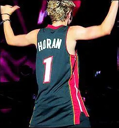 Niall vient d'un autre pays que les autres, d'o vient-il ?