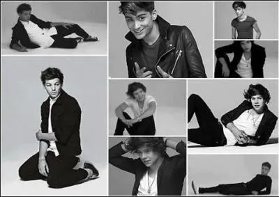 Complte la fin de la chanson :  You know i'll be : your life, your voice :