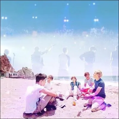 Laquelle de ces chansons n'est pas chante par les One Direction ?