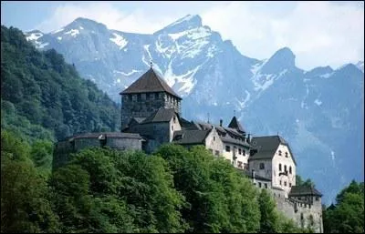 L'euro est la monnaie officielle de la Principaut du Liechtenstein.