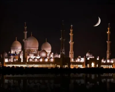 Les Emirats Arabes Unis sont une fdration compose de 7 mirats.