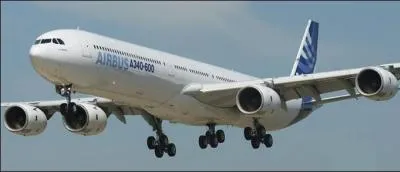 Le train arrire (sur l'image) est dit :