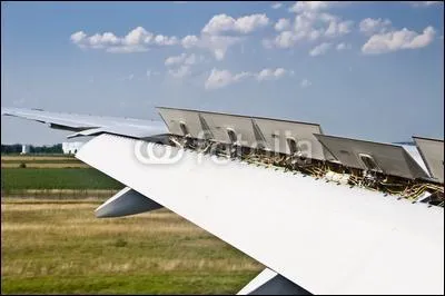 Quel(s) est(sont) le(s) dispositif(s) hypersustentateur(s) ?