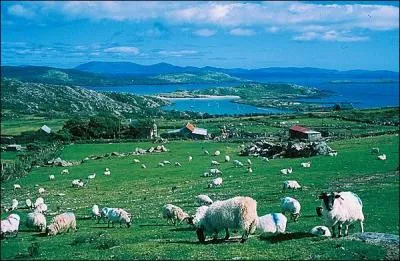 Au XIX me sicle, le drapeau vert du mouvement indpendantiste Irlandais comporte...