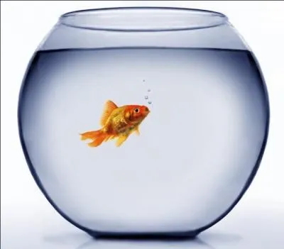 Vous souvenez-vous de cette publicit tlvise : Tu pousses le bouchon un peu trop loin Maurice ?