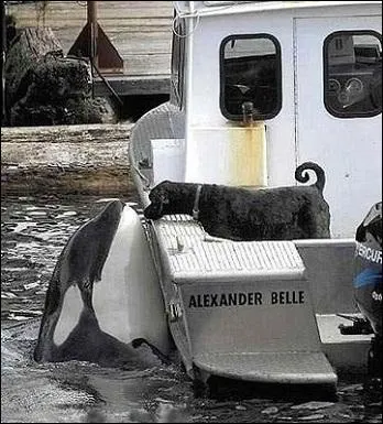 Qui a dit : La curiosit est la mre de l'observation ?