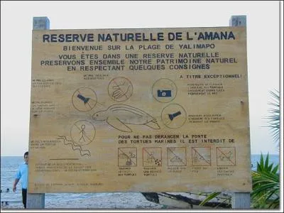 Dans ce dpartement franais, vous pouvez assister, en prenant quelques prcautions,  la ponte de la plus grande tortue marine du monde, la tortue luth !