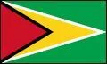 Ici, bien videmment, le drapeau du Suriname.