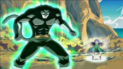 Dans fairy tail lequel de ces chats est le seul a pouvoir se transformer en forme humaine ?