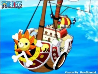 Que trouve-t-on comme figure de proue sur le bateau de Luffy, le Vogue Merry ?
