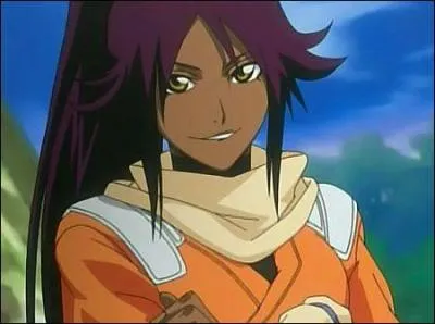 Dans  Bleach  en quoi se transforme Yoruichi ?