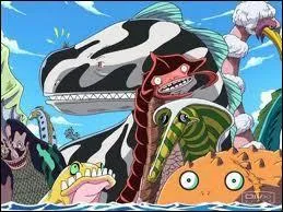 Comment se nomment les monstres marins les plus dangereux de l'univers  One Piece  ?