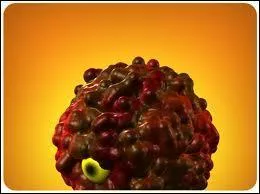 Lequel de ces pouvoirs n'appartient pas  Morviak ?