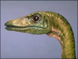 Je suis le Compsognathus. Malgr ma petite taille, on me considre comme assez intelligent. On a retrouv mon squelette dans un pays dont la capitale est Berlin. De quel pays s'agit-il ?