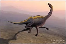 Je suis l'Ornithomimus. Mon cerveau a la taille de celui d'une autruche, ce qui fait de moi un gnie. Dans quel pays a-t-on retrouv mon premier squelette, sachant que la capitale de ce pays commence par  Wa  ?