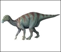 Je suis le Maiasaure, un dinosaure super organis. En quoi consiste mon organisation ?