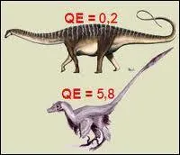 Si le cerveau d'un dinosaure pse 30 grammes et que ce dinosaure pse, en tout, 100 000 fois plus que son cerveau, quel est son poids en tonnes ?