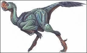 En remettant dans l'ordre ces groupes de lettres, le nom d'un dinosaure, pas bte du tout, apparatra : or-apt-ovir