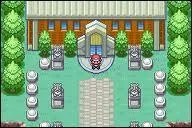 Toutes gnrations confondues, combien, au total, y a-t-il de membres DIFFRENTS dans les Ligues Pokmon ?