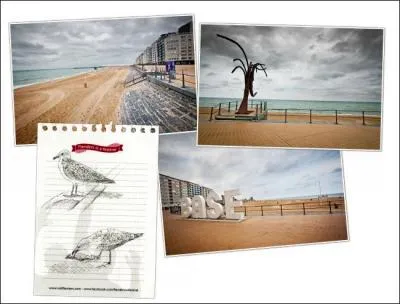  Perle de la mer du Nord  ou encore  reine des plages , cette ville belge qui a inspir de nombreux artistes, abrite le muse Amandine qui fait comprendre l'importance de la mer dans sa construction. C'est :