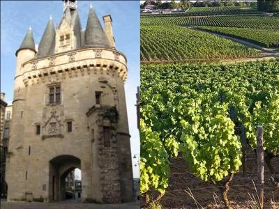 Connue dans le monde entier pour son vignoble,  la perle d'Aquitaine  est aussi  la belle endormie . Son centre historique est class au patrimoine mondial de l'UNESCO depuis 2007. C'est :
