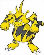 Quel est l'objet qui permet  Elektek d'voluer ?