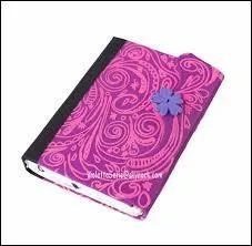 De quoi a besoin Violetta pour sortir ?