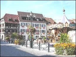 Je vos emmne  Molsheim ( Bas-Rhin ). Cette ville est chef-lieu ...