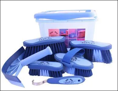 Quelle brosse n'existe pas ?