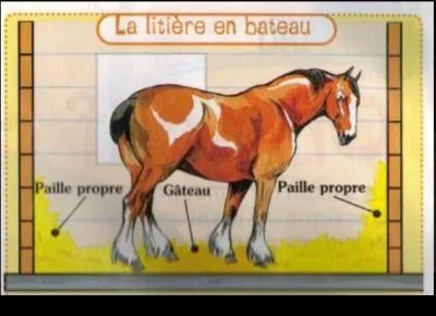 Qu'est ce qu'une litire en bateau ?