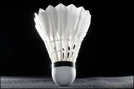 Maintenant, devinez  l'aide de cette photo de quel sport il s'agit.