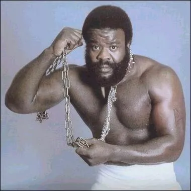 Quels sont ses finishers ?