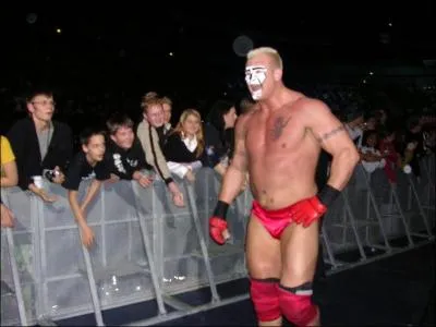 Quels sont ses finishers ?