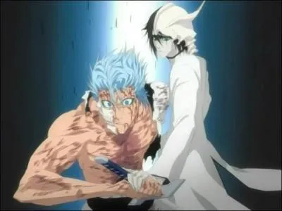 Quand Ulquiorra a arrt Grimmjow, qui combattait Grimmjow ?