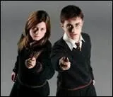 En quelle anne Harry et Ginny sortent-ils ensemble ?