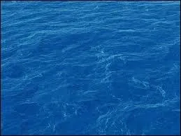 Quelle est la traduction latine du mot  eau  ?