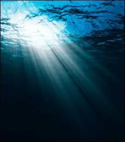 La fosse ocanique la plus profonde au monde, avec  son point le plus bas, environ 11000 m de profondeur, s'appelle ...