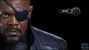 Qui est le chef des Avengers ?