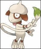 En quoi volue Queulorior ?