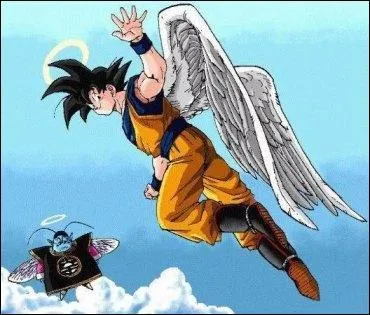 Qui est le matre principal de Sangoku ?