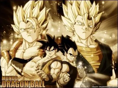 Quelle est la fusion la plus forte de Sangoku et Vegeta ?