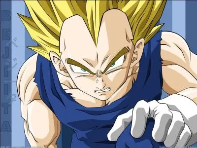 Qui a ensorcel Vegeta en Majin Vegeta ?