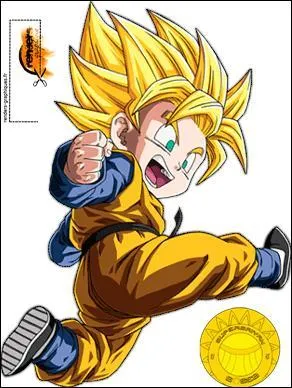 Comment s'appelle le petit frre de Sangohan ?