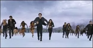 Qui gagne lors du combat dans le dernier chapitre ?