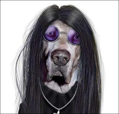 Quel ge a Ozzy Osbourne ? (2013)