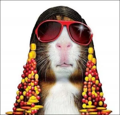 Parmi ces chansons, laquelle n'a pas t interprte par Stevie Wonder ?