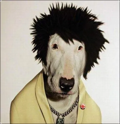  quel ge est mort Sid Vicious ?