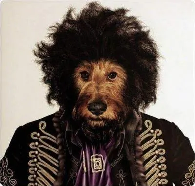 Pendant combien de temps Jimi Hendrix est-il rest chanteur ?