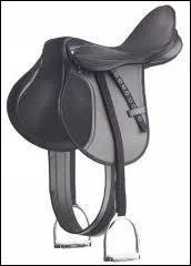 De quel type est cette selle ?