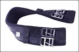 Comment appelle-t-on cette partie de la selle ?